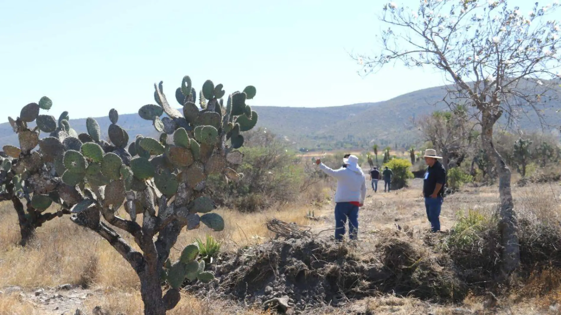 Autoridades reportan daños en la Reserva de la Biosfera Tehuacán-Cuicatlán